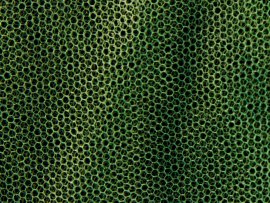 Zanzariera MFH piccola verde 0,63x2x8 m