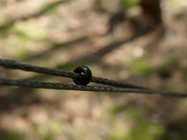 Kit di sospensione per amaca Lesovik Smuk nero