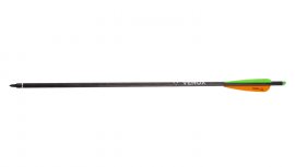 Freccia Carbon Savage 20"