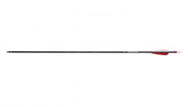 Freccia Carbon Wraith 28"