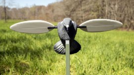 Balabán MOJO Pigeon - piccione