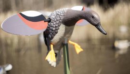 Balabán MOJO Gadwall - Anatra Kopřivka
