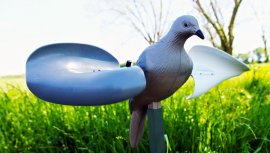 Balabán MOJO Wind Dove - colomba a vento