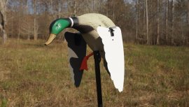Balaban MOJO Super Mallard - Anatra selvatica