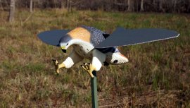 Balabán MOJO Hawk - Falco