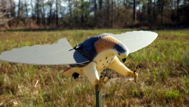 Balabán MOJO Hawk - Falco