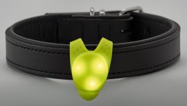 Pendente LED luminoso per collare Hunter