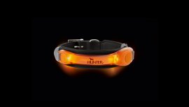 Ciondolo a collare LED arancione Hunter