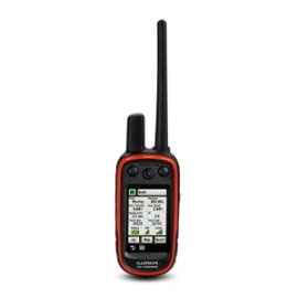 Localizzatore GPS Garmin Alpha 100 + collare T5 Mini