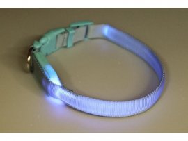Collare luminoso Dogtrace 28-38cm