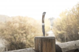 Coltello pieghevole Winchester Lasso