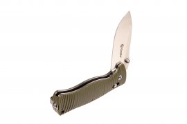 Coltello pieghevole Ganzo Firebird G720-GR verde