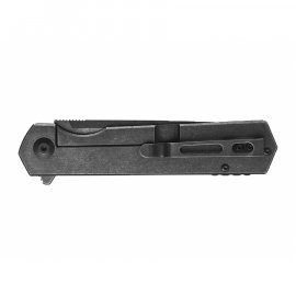 Coltello tascabile Ganzo Firebird FH13-SS