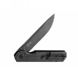 Coltello tascabile Ganzo Firebird FH13-SS