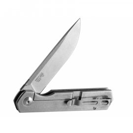 Coltello pieghevole Ganzo Firebird FH12-SS