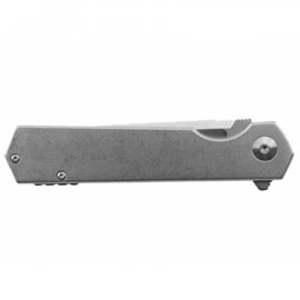 Coltello pieghevole Ganzo Firebird FH12-SS