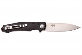 Coltello pieghevole Ganzo Firebird FH21-BK