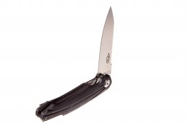 Coltello pieghevole Ganzo Firebird FH21-BK