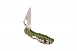 Coltello pieghevole Ganzo Firebird F759M verde