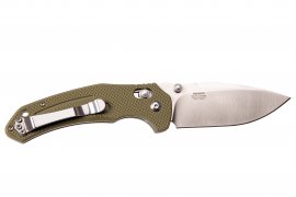 Coltello pieghevole Ganzo Firebird F7611 verde