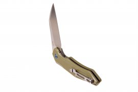 Coltello pieghevole Ganzo Firebird FH31-GB
