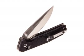 Coltello pieghevole Ganzo Firebird FB7601 nero