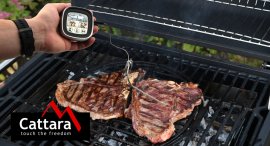 Termometro digitale per grill con sonda