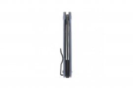 Coltello Ganzo Firebird FH922PT-GY