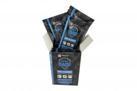 GNP Gun Cleaner salviette detergenti 10 pz