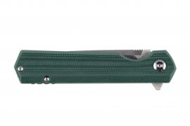 Coltello pieghevole Ganzo Firebird FH11S-GB verde