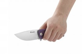 Coltello pieghevole Ganzo G769-BK