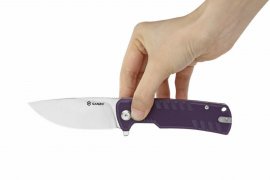 Coltello pieghevole Ganzo G769-BK