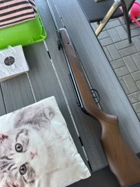 Recensione: Carabina ad aria compressa Gamo Hunter 440 4,5mm - 24J - 2