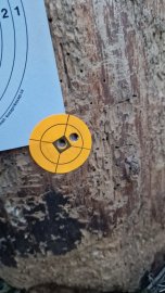 Recensione: H&N Heavy Slug 6.35mm/.250 2.72g/42gr - 1