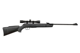 Carabina ad aria compressa Gamo Big Cat 1000 4,5mm set 2