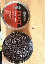 Recensione: Diabolo JSB Exact Jumbo Heavy 5,52mm 500pz - 1