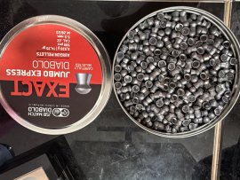 Recensione: Diabolo JSB Exact Jumbo Express 5,52mm 500 pz - 1