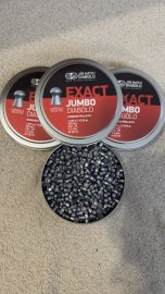 Recensione: Diabolo JSB Exact Jumbo 5,51mm 500pz - 1