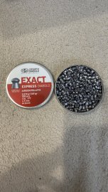 Recensione: Diabolo JSB Exact Express 4,52mm 500pz - 1
