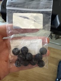 Recensione: Pallini T4E 50 Performance RBI 10 pz - 1