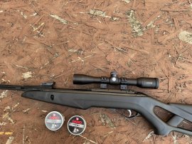 Recensione: Diabolo Gamo Pro Magnum Penetration 4,5mm 500pz - 1