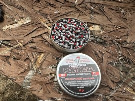 Recensione: Diabolo JSB Predator Polymag 5,5mm 200pz - 1
