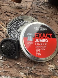 Recensione: Diabolo JSB Exact Jumbo 5,52mm 250 pz - 1
