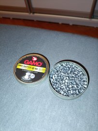 Recensione: Diabolo Gamo Pro Match 4,5mm 500pz - 1