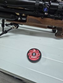 Recensione: Diabolo JSB Exact Jumbo Heavy 5,52mm 500pz - 1