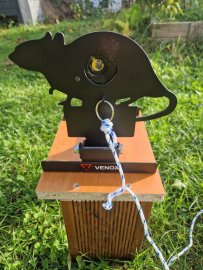 Recensione: Bersaglio da gara Venox krysa - 1