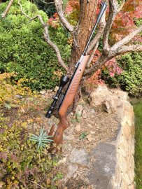Recensione: Carabina ad aria compressa Cometa Fenix 400 Star 6,35mm - 27J - 1