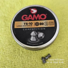 Recensione: Diabolo Gamo TS-10 4,5mm 200 pz - 1