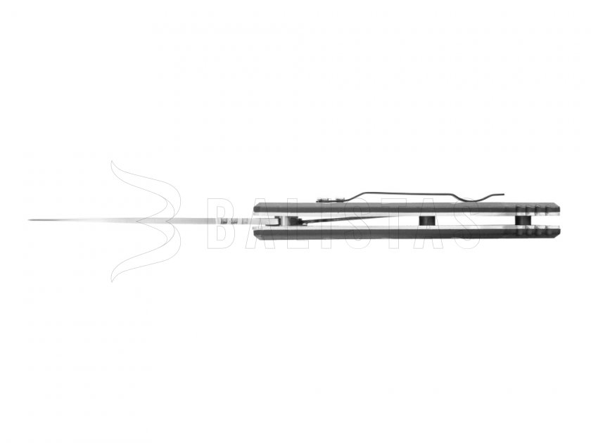 Coltello richiudibile Ganzo G619