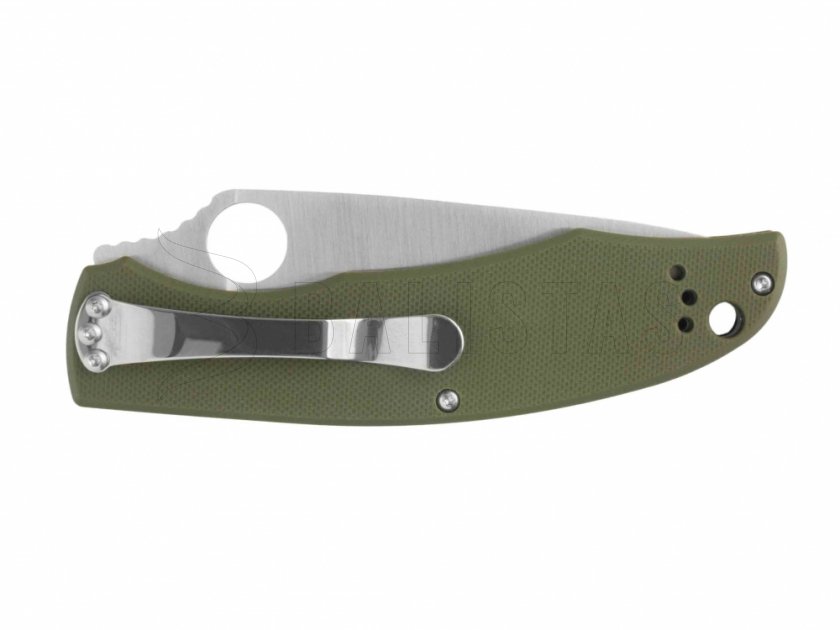 Coltello pieghevole Ganzo G732-GR